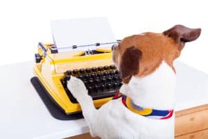 Dog Website Writer