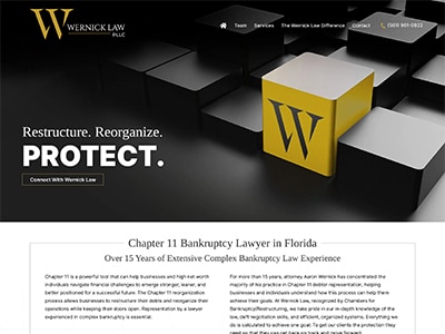 Law Firm Website design for Wernick Law, PLLC
